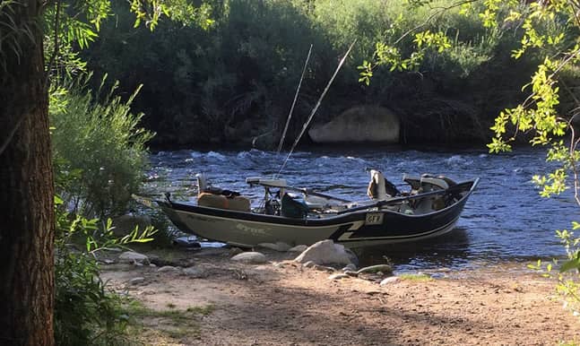 Gunnison Fish and Raft Join Us on a Trip
