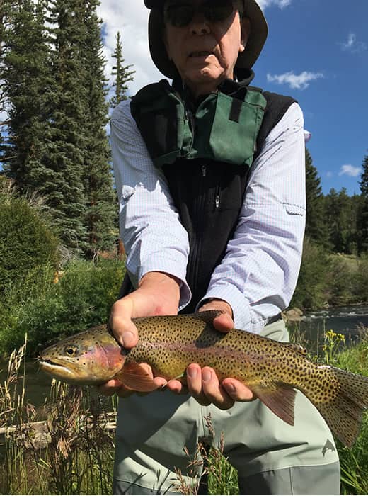 Walk Wade GFR Successful Catch Walk Wade GFR Successful Catch